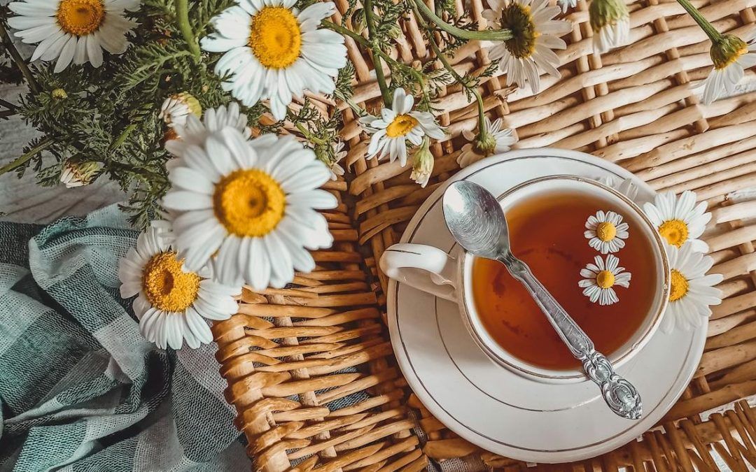 LAS 5 AFECCIONES MÁS COMUNES EN PRIMAVERA
