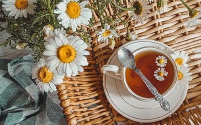 LAS 5 AFECCIONES MÁS COMUNES EN PRIMAVERA