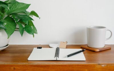 10 PLANTAS PARA COMBATIR EL SÍNDROME POST-VACACIONAL