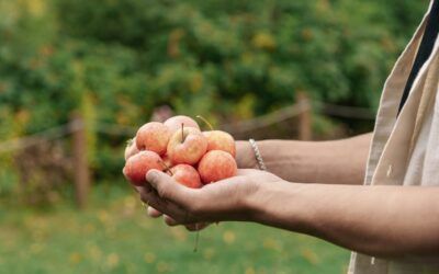 VITAMINAS CLAVE PARA TU SISTEMA INMUNITARIO